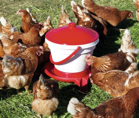 NOVITAL Geflügeltränke-Eimer